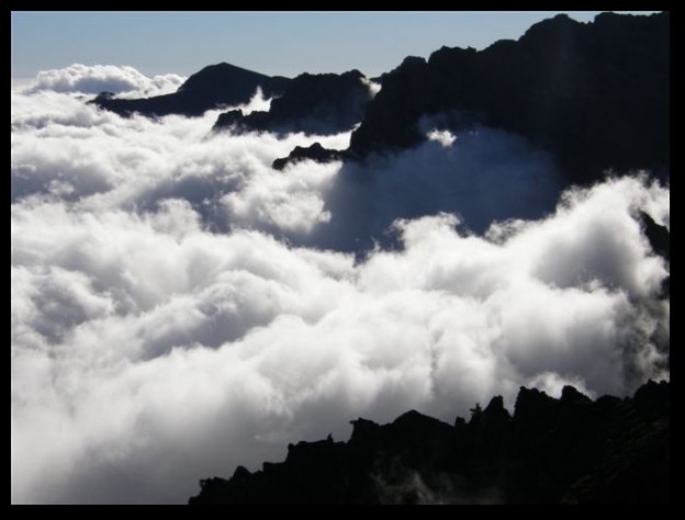 608x457 pixels (131K)
